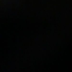 Meet your Posher, Samuel